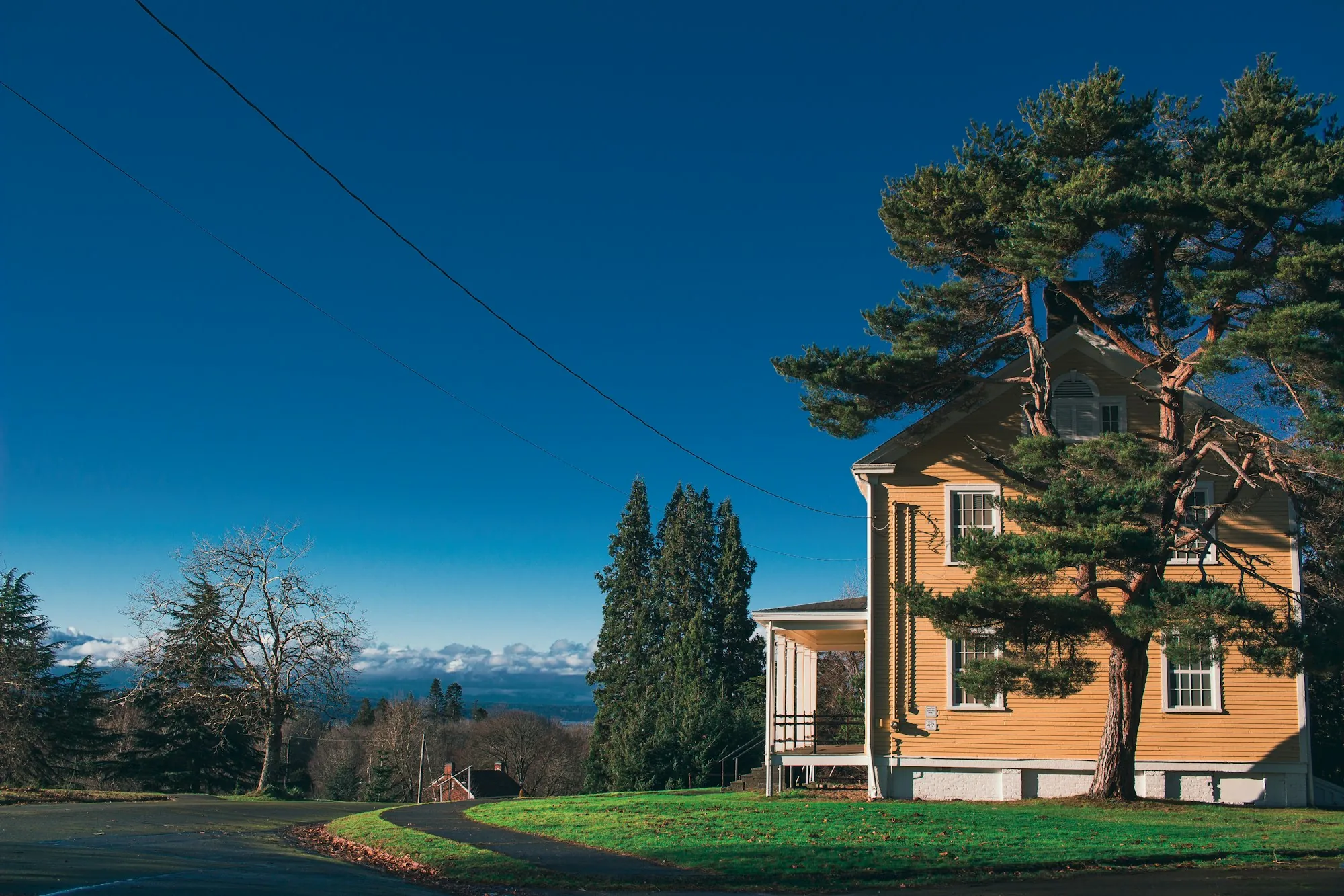 A Pacific Northwest home on a hillside with tall conifers behind it