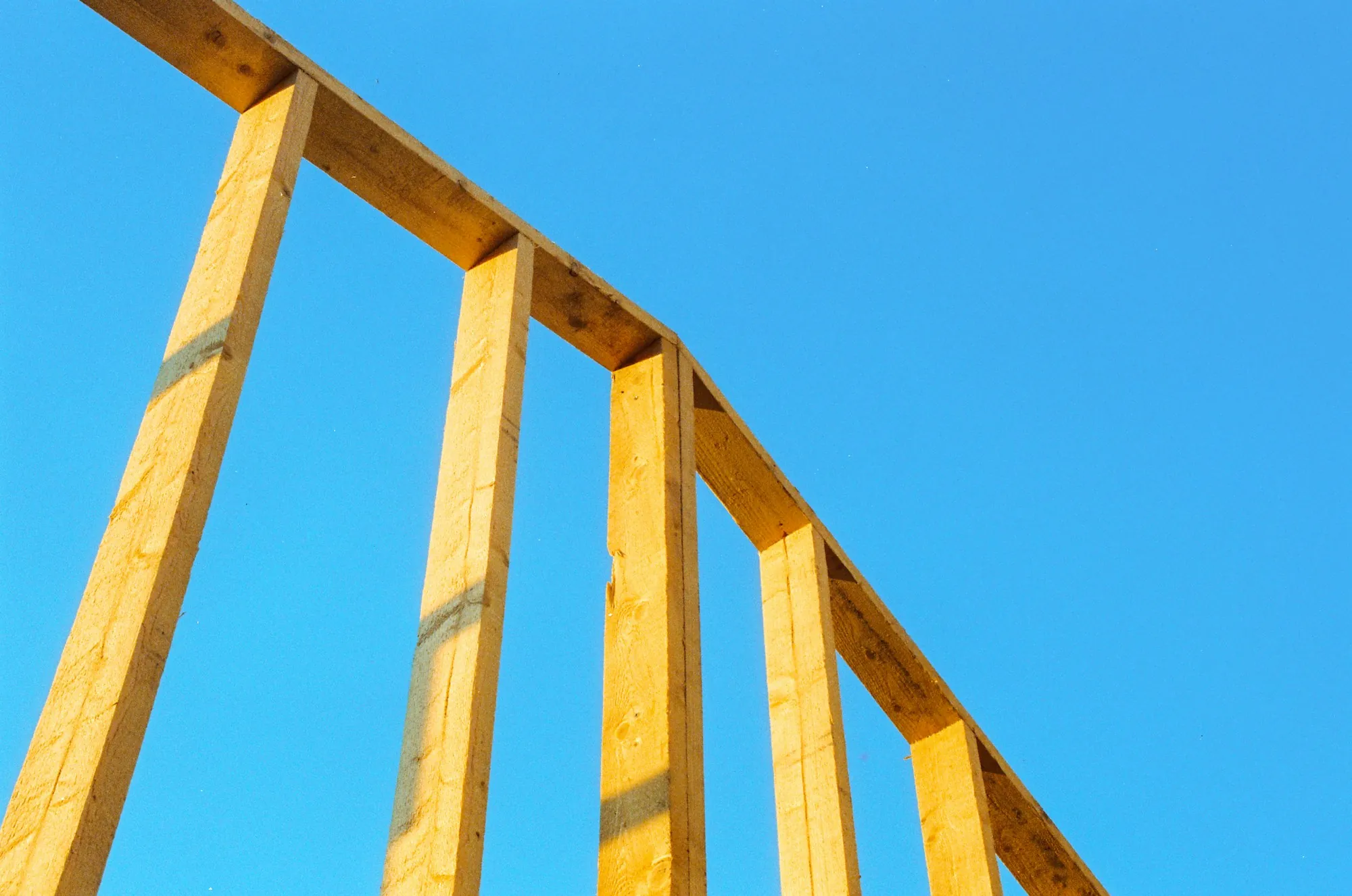 Timber framing of a house under construction against a clear sky